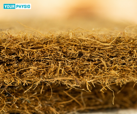 Is Coir Mattress Good for Back Pain? The Real Thing